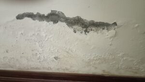 tường bị hút ẩm chân tường bong tróc