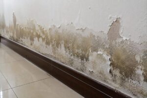 Chân tường ẩm bong sơn